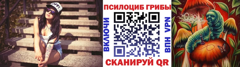 Псилоцибиновые грибы мицелий  даркнет сайт  Уварово 